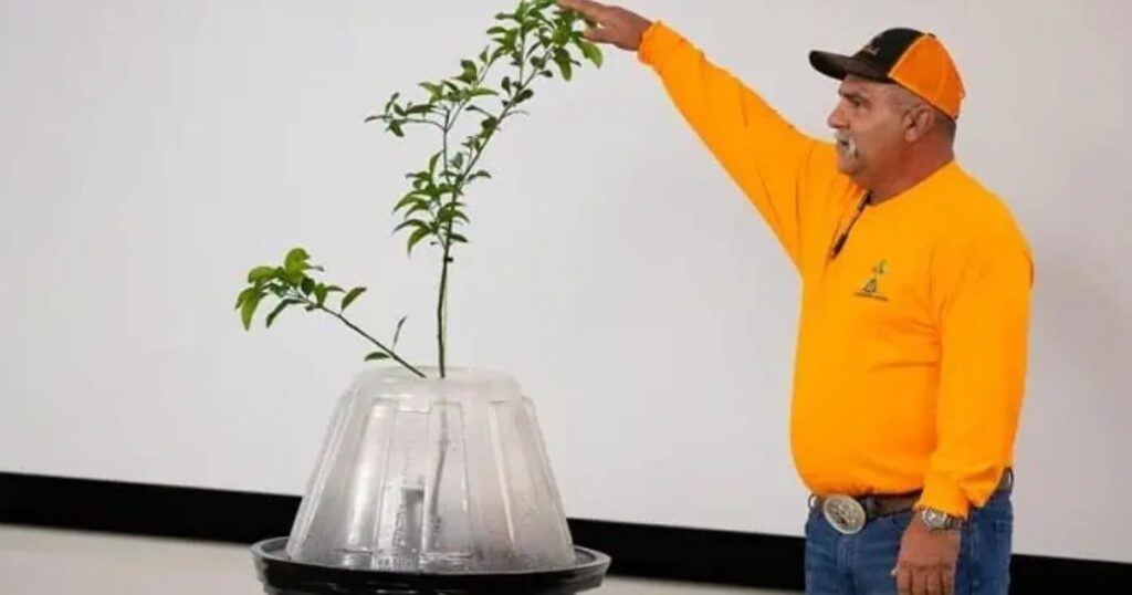 Tree T-Pee's Net Worth